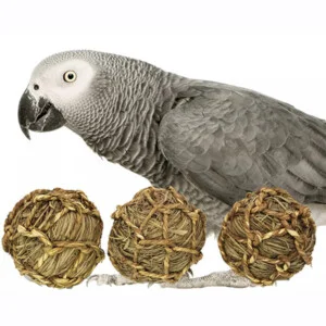 Đồ Chơi Cho Thú Cưng Blue Lotus – Công Ty TNHH Xuất Nhập Khẩu Blue Lotus