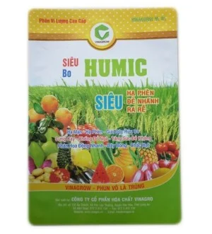 Công Ty TNHH MTV BEEVIET