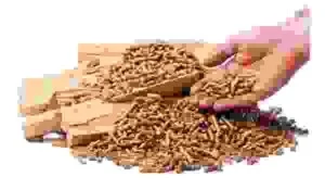 Công Ty TNHH Thanh Lâm