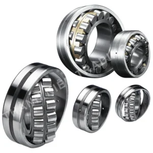 Chi Nhánh Công Ty TNHH Thương Mại Thành Niên