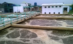 Wp 20140419 01120copy