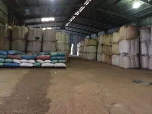 Công Ty Cổ Phần Xuất Nhập Khẩu Vnplus