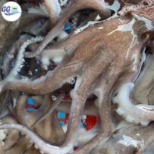 Hải Sản Giang Ghẹ – Công Ty TNHH Thương Mại Dịch Vụ Hải Sản 68