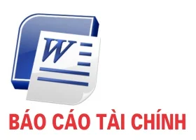 Bao20cao20tai20chinh201