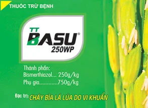 Basu20250wp