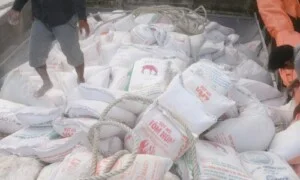 Nguyên Liệu Thức Ăn Chăn Nuôi Vạn Phát – Công Ty TNHH SX Nguyên Liệu Thức Ăn Chăn Nuôi Vạn Phát