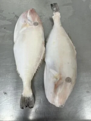 Thủy Hải Sản Minh Hưng – Cơ Sở Mua Bán Gia Công Thủy Hải Sản Minh Hưng