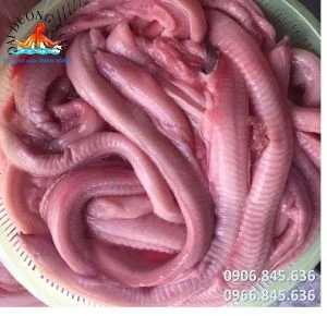 Hải Sản Đại Dương Xanh – Cửa Hàng Đại Dương Xanh