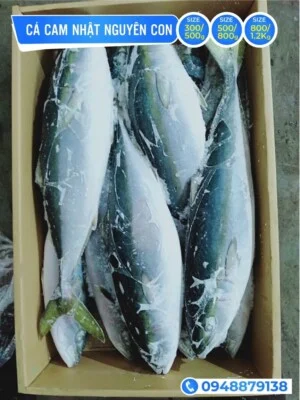 Hải Sản Uy Vũ – Công Ty TNHH Hải Sản Uy Vũ