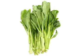 Thực Phẩm Đình Huy Đức – Công Ty Cổ Phần Đình Huy Đức