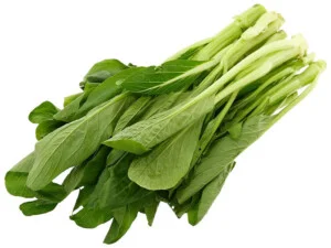 Thực Phẩm Đình Huy Đức – Công Ty Cổ Phần Đình Huy Đức