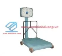 Công Ty TNHH Cân Điện Tử Tân Hoàng Pha