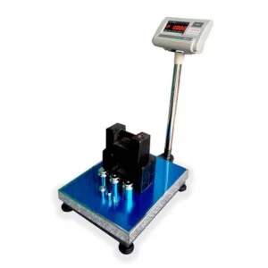 Cân Điện Tử Toàn Phát – Công Ty TNHH TMDV Toàn Phát