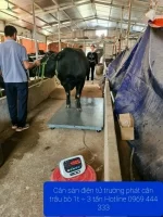 Công Ty TNHH TM DV Delta Vina