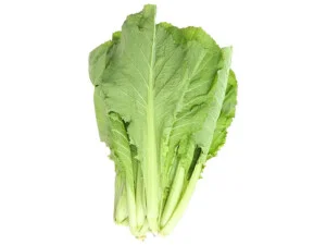 Thực Phẩm Đình Huy Đức – Công Ty Cổ Phần Đình Huy Đức