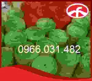 Vải Bố Mai Phú Quý – Công Ty TNHH Thương Mại Mai Phú Quý