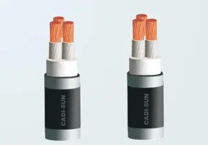 Công Ty Cổ Phần Thủy Tiên