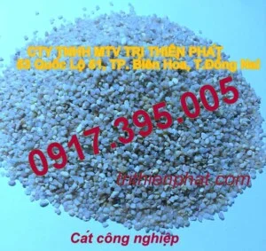 Chi Nhánh Cát Trị Thiên Phát – Công Ty TNHH Một Thành Viên Trị Thiên Phát