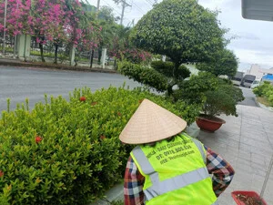 Vệ Sinh Công Nghiệp Ninja Care – Công Ty TNHH TM DV NINJA SERVICE