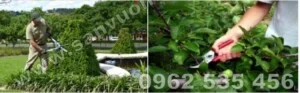 Công Ty Cổ Phần Ngũ Sắc