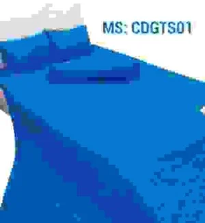 Chan20ga20goi204