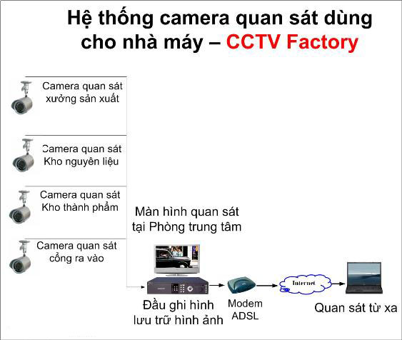 Công Ty TNHH Sơn Trí