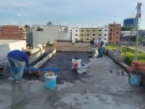 Creator: Gd Jpeg V1.0 (using Ijg Jpeg V62), Chất lượng = 100