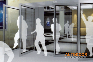 Công Ty TNHH Đại Phong