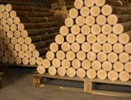 Công Ty TNHH Một Thành Viên Thương Mại Toàn Phát Tài