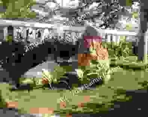 Công Ty Cổ Phần Khải Minh An