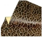 Việt á Châu – Công Ty Cổ Phần Đầu Tư Và Phát Triển Việt á Châu