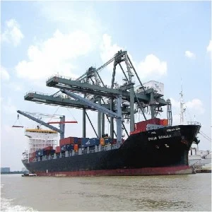 Công Ty Cổ Phần Vận Tải Và Dịch Vụ á Mỹ