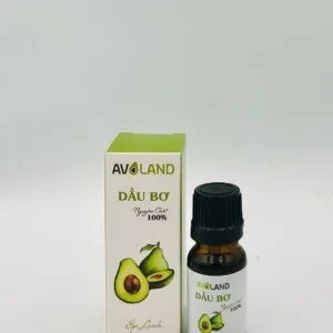 Dau20bo