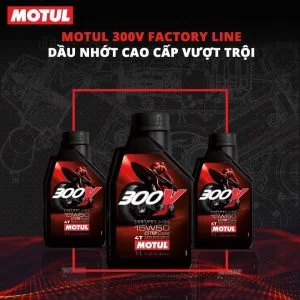 Công Ty TNHH Thương Mại Và Dịch Vụ Sông Trà