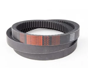 Quán Việt Belt – Công Ty TNHH Thương Mại Quán Việt