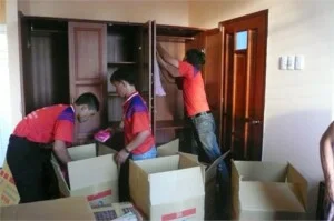 Vận Chuyển Kiến Đỏ – Công Ty Cổ Phần Kiến Đỏ Việt Nam