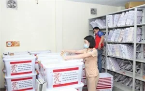 Vận Chuyển Kiến Đỏ – Công Ty Cổ Phần Kiến Đỏ Việt Nam