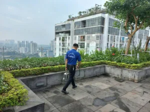 Dịch Vụ Diệt Côn Trùng Tuấn Anh – Công Ty TNHH Kiểm Soát Dịch Hại Tuấn Anh