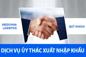 Dich Vu Uy Thac Nhap Khau Logistics