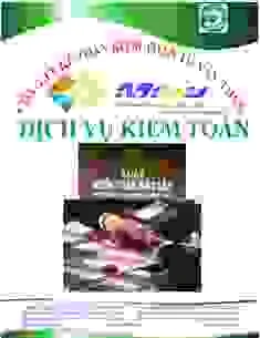 Công Ty TNHH Tư Vấn Dịch Vụ MiSu