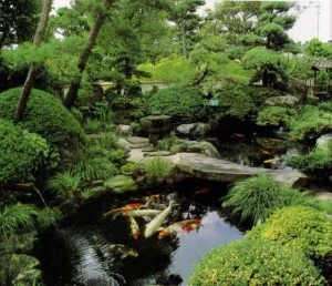 Dịch Vụ Cây Xanh Vanda – Công Ty TNHH Tư Vấn Thiết Kế Cảnh Quan Vanda