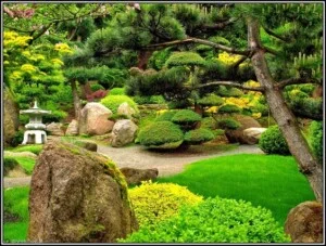 Dịch Vụ Cây Xanh Vanda – Công Ty TNHH Tư Vấn Thiết Kế Cảnh Quan Vanda