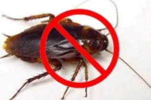 VPĐD tại Hưng Yên – Công Ty TNHH Dịch Vụ Công Nghiệp Huy Hoàng