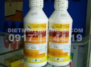 Diệt Mối Trường An – Công Ty TNHH Thương Mại Dịch Vụ Tổng Hợp Trường An