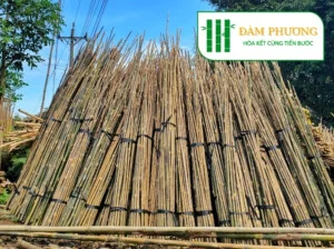 Nhà Cung Cấp Tre Tầm Vông Đàm Phương