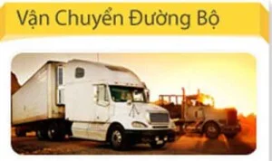Duong Bo