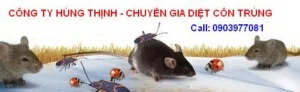 Diệt Mối Hùng Thịnh – VPGD Công Ty TNHH MTV Dịch Vụ Hùng Thịnh