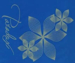 In Lụa KD SPORTS – Công Ty TNHH KD Sports