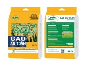 Gao20201