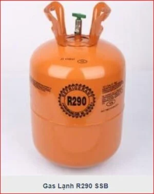 Công Ty TNHH Sing Swee Bee Việt Nam